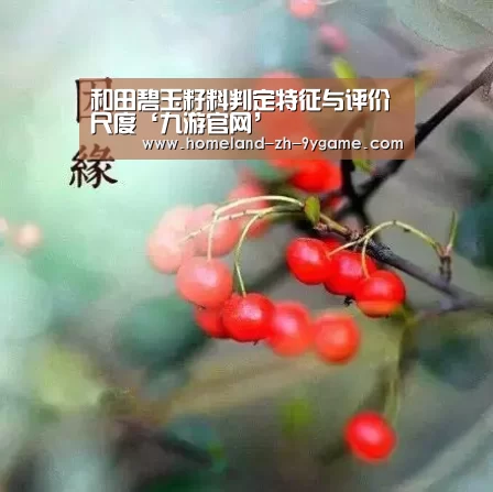 和田碧玉籽料判定特征与评价尺度‘九游官网’(图4) 九游官网