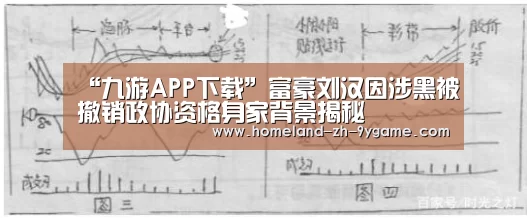 “九游APP下载”富豪刘汉因涉黑被撤销政协资格身家背景揭秘(图3) 九游游戏中心