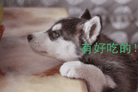 九游APP下载